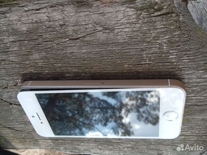 Дисплей iPhone 5s