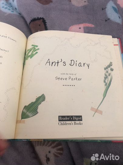 Книга на английском Ant's diary