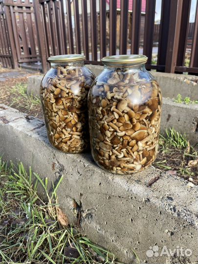 Грибы опята маринованные