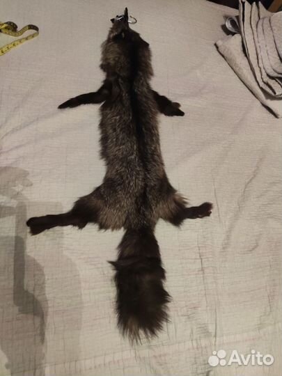 Шкура чернобурки