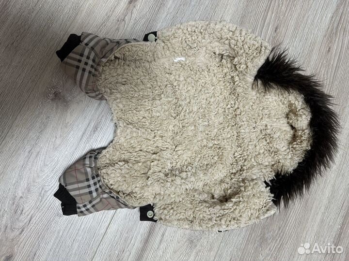 Одежда для собак мелких пород
