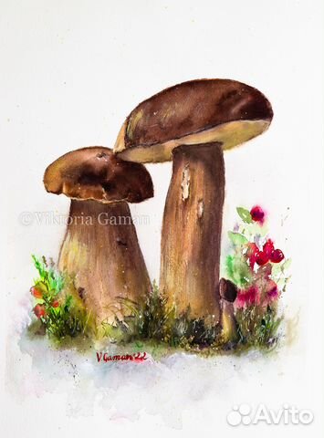 Акварельная картина Белые грибы и ягоды. Белый фон