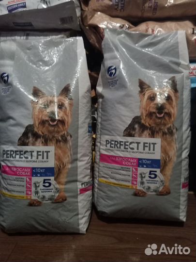 Корм для собак