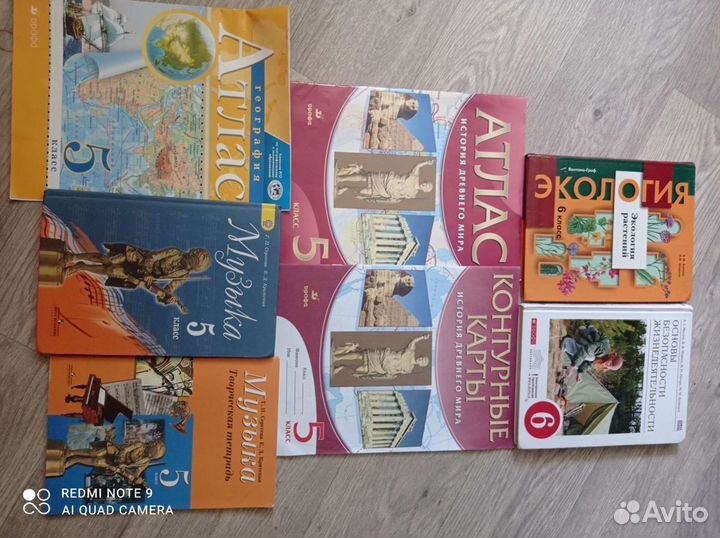 Учебники и рабочие тетради