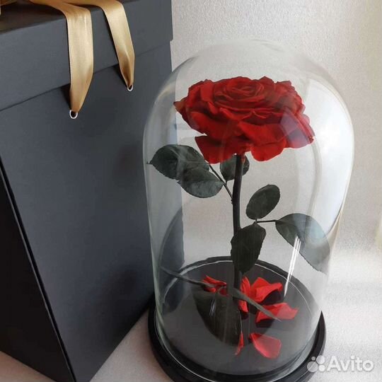 Роза сублимированная