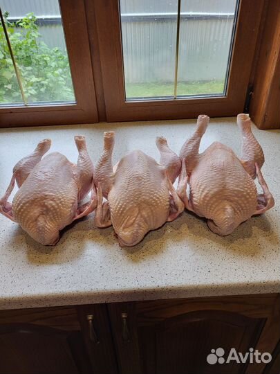 Мясо домашнего бройлера