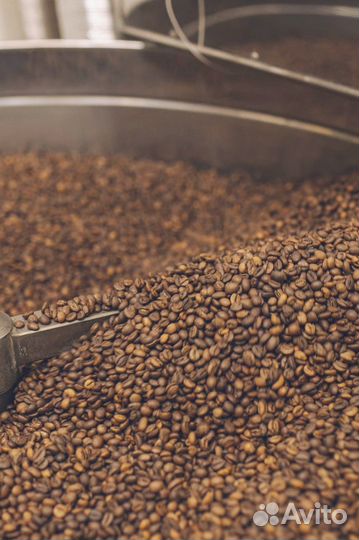 Кофе свежей Brown обжарки робуста оптом