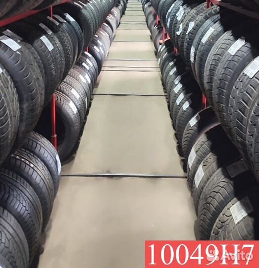 Dunlop Winter Maxx WM01 205/55 R16 88N