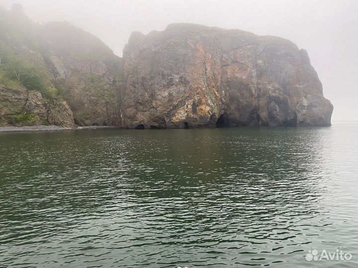 Трансфер, туры