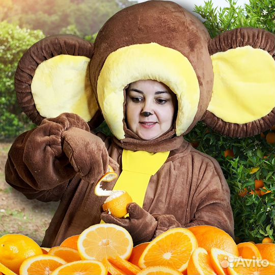 Детский аниматор