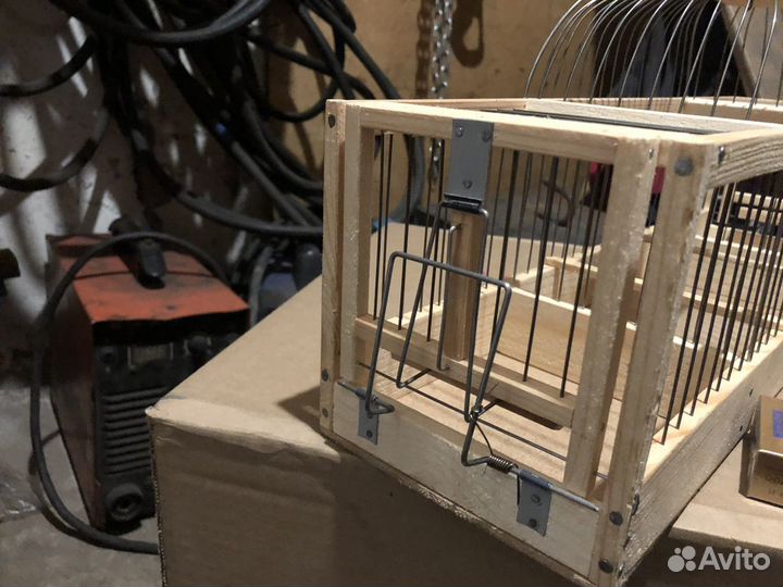 Западок ловушка