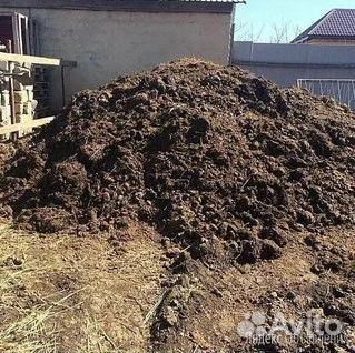 Перегной
