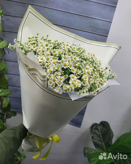 Ромашки букет