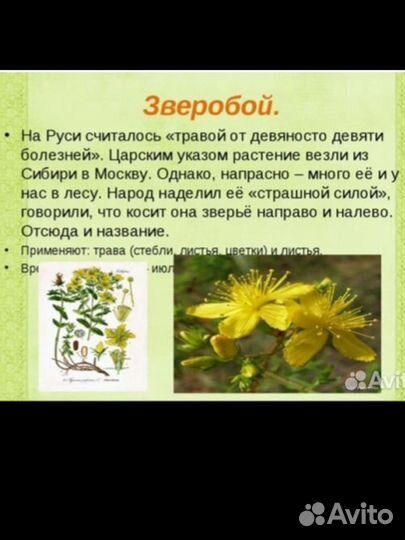 Травяной сбор