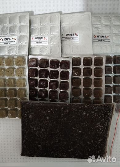 Рыбки-корма-заморозка