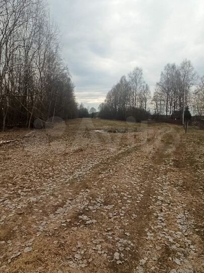 Участок 40 сот. (ИЖС)