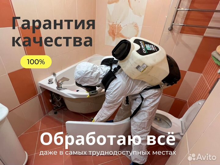 Уничтожение тараканов и клопов дезинсекция