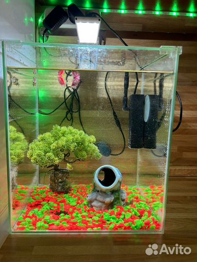 Аквариумные рыбки