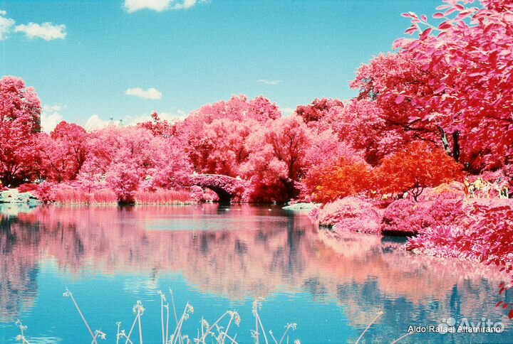 Инфракрасные фильтры Zomei (720)