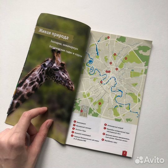 Путеводитель по Москве