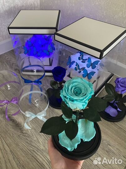 Роза в колбе подарок девушке