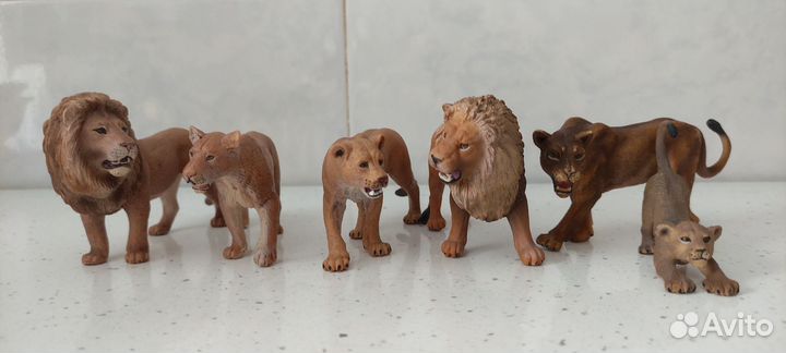 Дикие и домашние кошки разных фирм