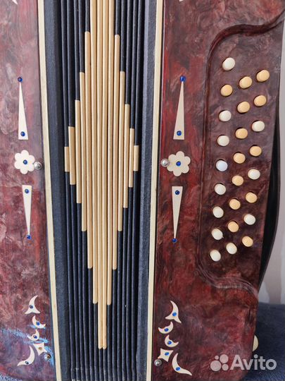 Аккордеон кнопочный рабочий в футляре