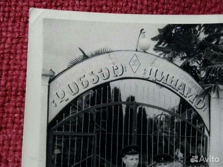 Фото /динамовцы'/ 4шт. середина XX века