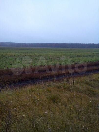 Участок 25 сот. (ИЖС)