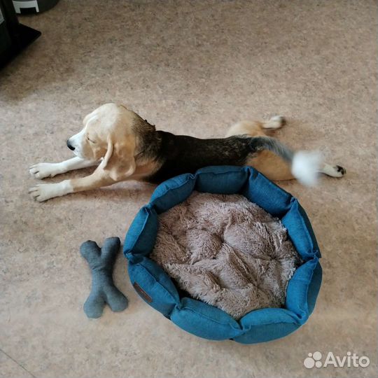 Лежанка для питомца новая