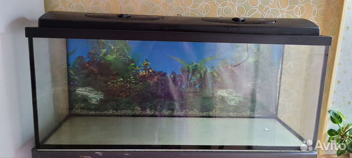 Аквариум
