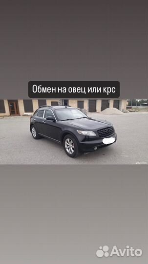 Овцы, крс обмен