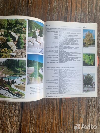 Книги по ландшафтному дизайну на английском