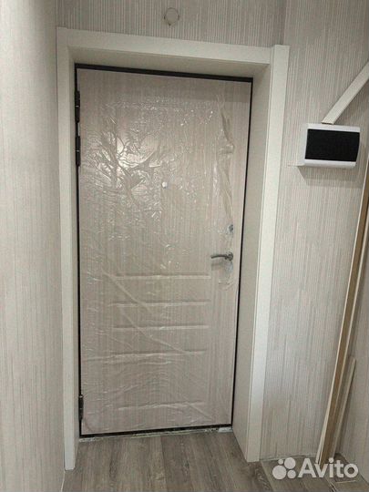 Дверь входная торекс