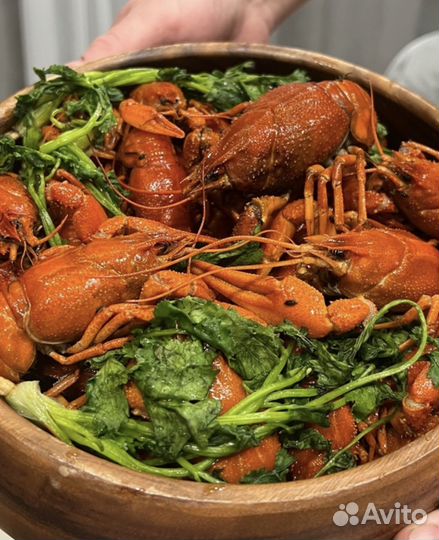 Живые Речные Раки