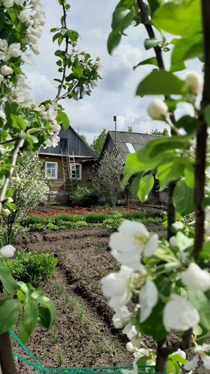 Дом 59 м² на участке 30,7 сот.