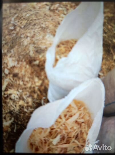 Стружка/опилки хвойных пород фасованные в мешках