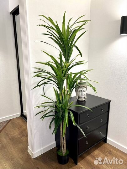 Искусственное дерево. Фитокартина для офиса