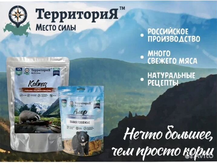 Корм для кошек Tерритория в Калининграде