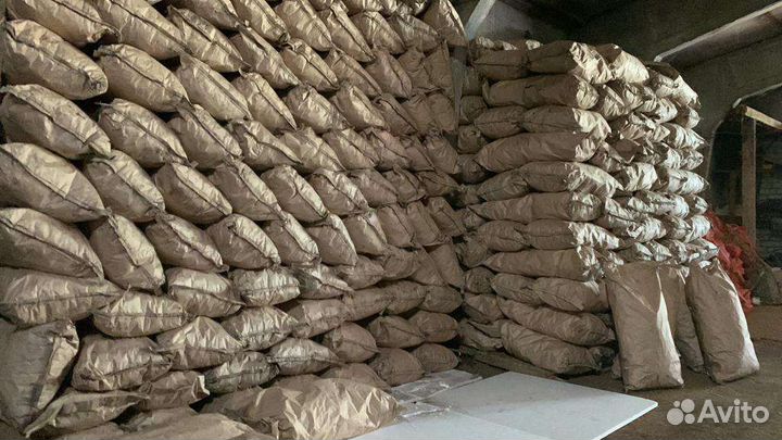 Уголь древесный березовый оптом