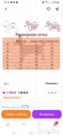 Комбинезон для собаки