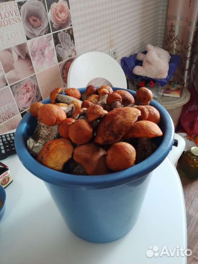 Продукты питания