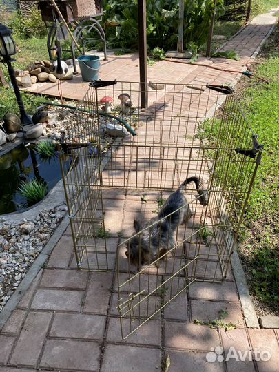 Клетка для маленьких собак