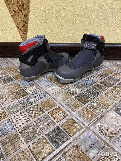 Лыжные ботинки spine rider