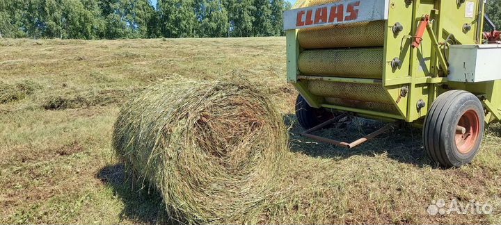Сено в рулонах