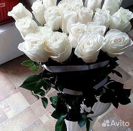 Розы гиганты 140 150 160 170 180 200