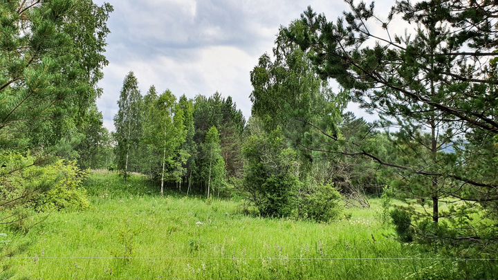 Участок 21,5 сот. (СНТ, ДНП)