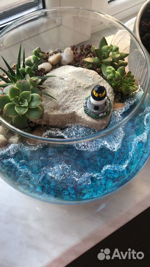 Флорариум с суккулентами Подарок
