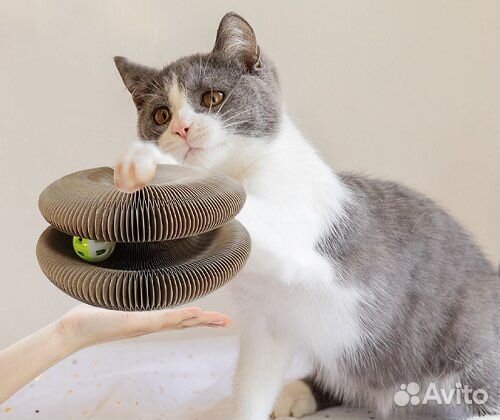 Когтеточка для кошек