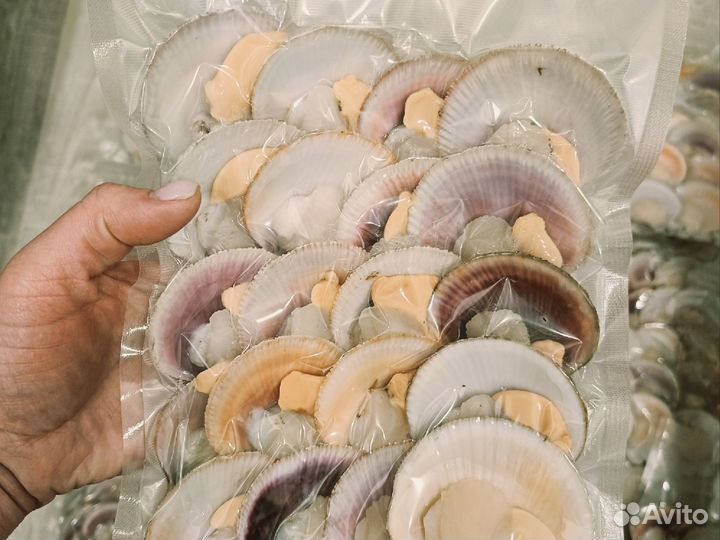 Морской гребешок в вакуумной упаковке